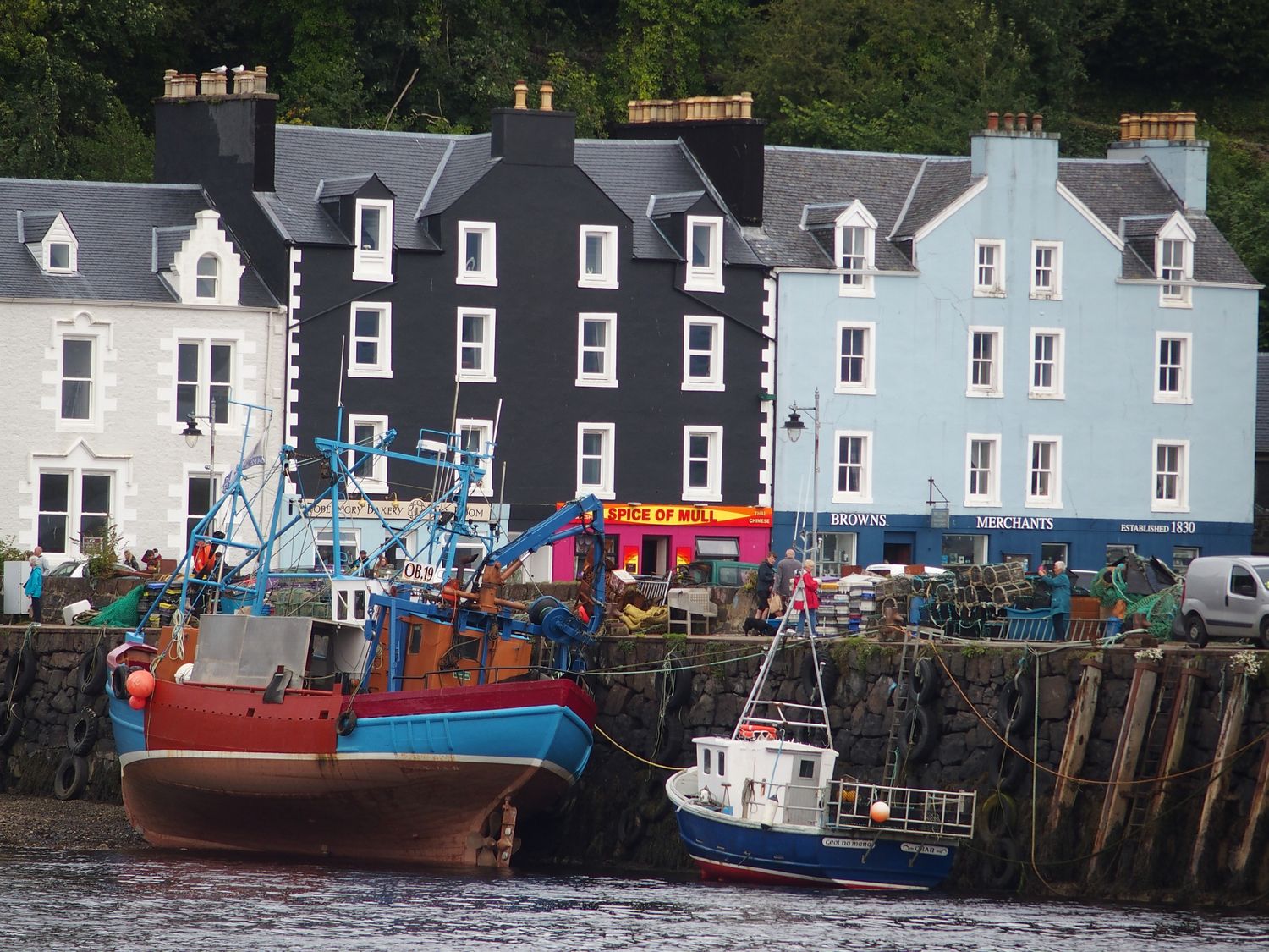 Tobermory halszhajk